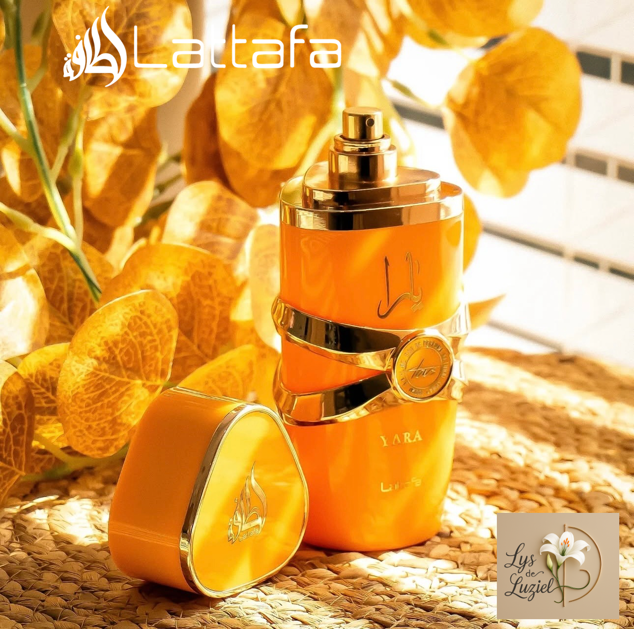 Yara Tous - EDP 100ml